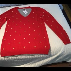 J. Crew Long Sleeve V neck Sweater